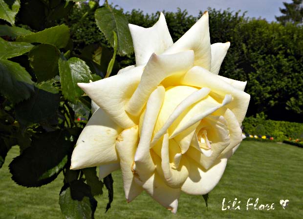 Image hébergée par Casimages.com : votre hébergeur d images simple et gratuit