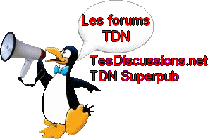 TesDiscussions.net recrute pour aider a sa relance. 090722010119164664112734