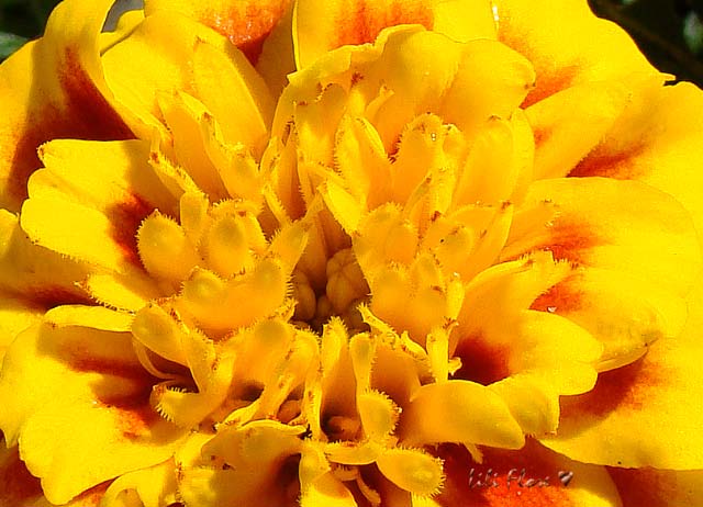 Image hébergée par Casimages.com : votre hébergeur d images simple et gratuit
