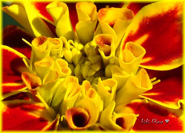 Image hébergée par Casimages.com : votre hébergeur d images simple et gratuit