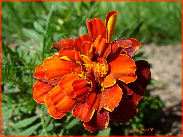 Image hébergée par Casimages.com : votre hébergeur d images simple et gratuit