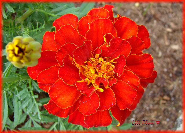 Image hébergée par Casimages.com : votre hébergeur d images simple et gratuit