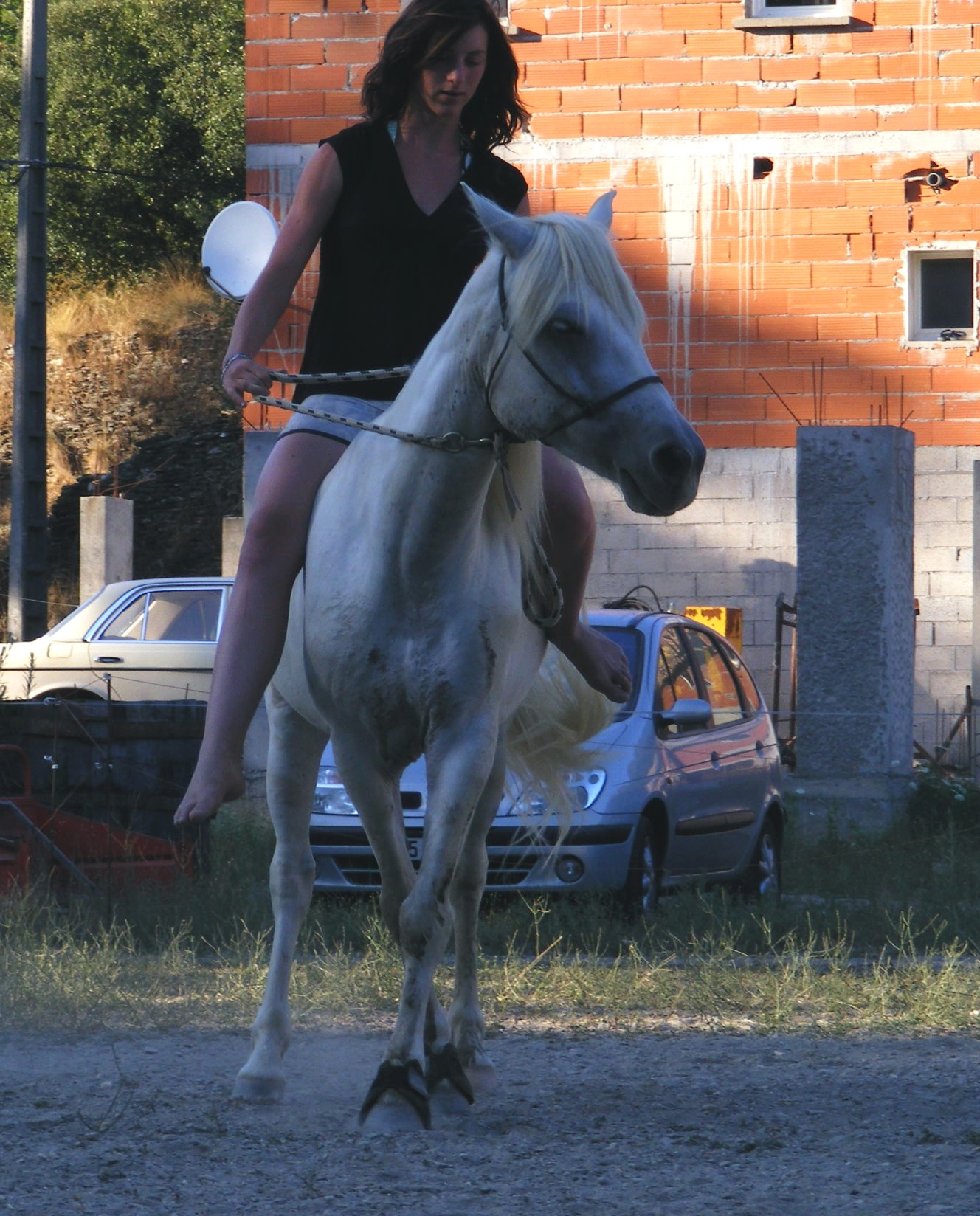 DSCF0930