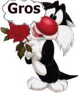 090806084751477374202343