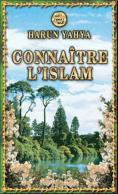 20 E-Books pour mieux comprendre l'Islam 090806030407565304203831