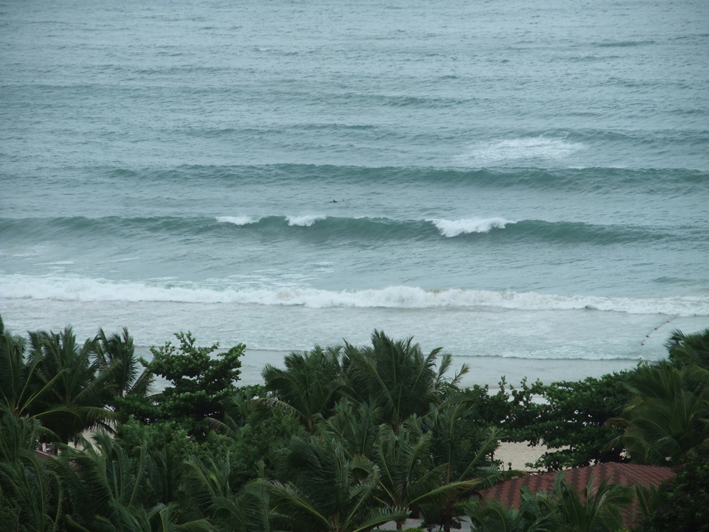 DSCF0955