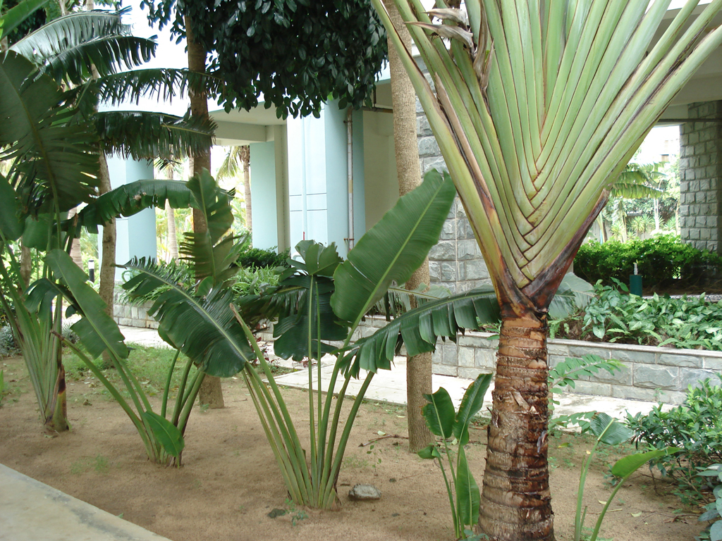 DSC09239