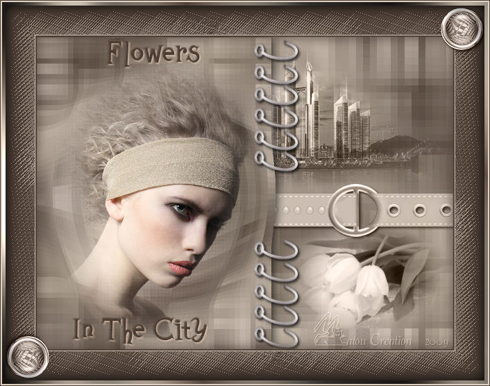 - Flowers In The City - 090809105125773164220580