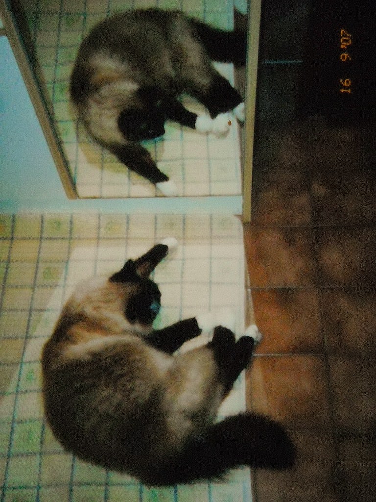 loukia et son double