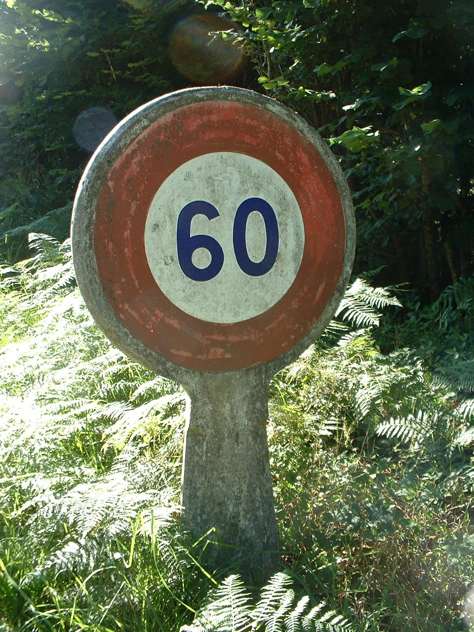 DSCF0023