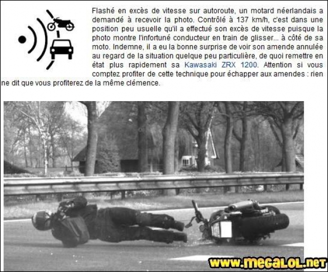 crash-moto-flash_el-lobo