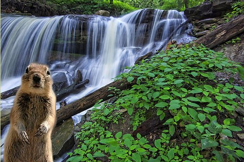 Nature