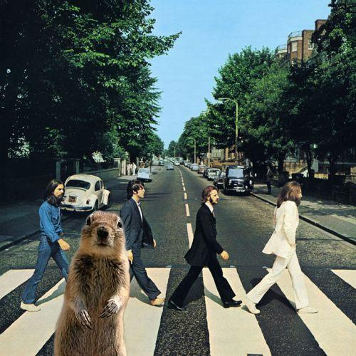 Beatles