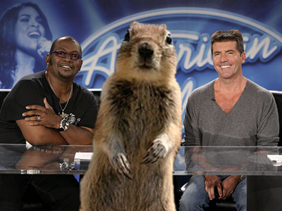 American Idol