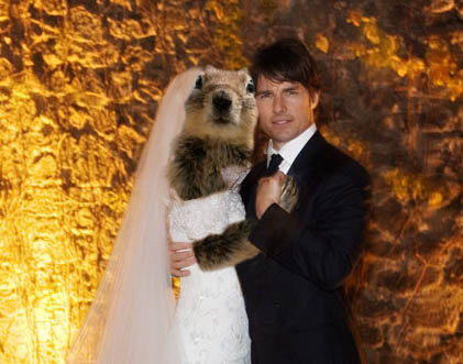Tom Cruise