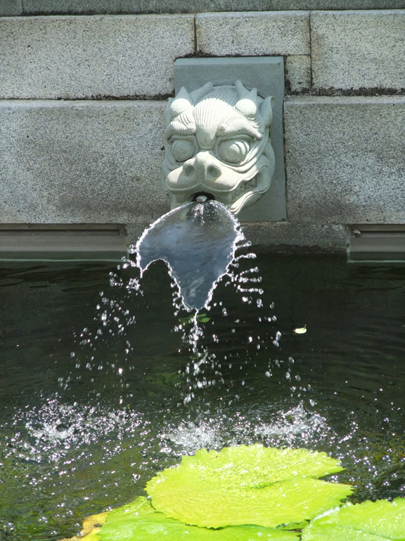 DSCF1500