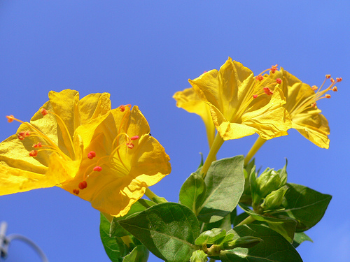 1351062511_890e77a290