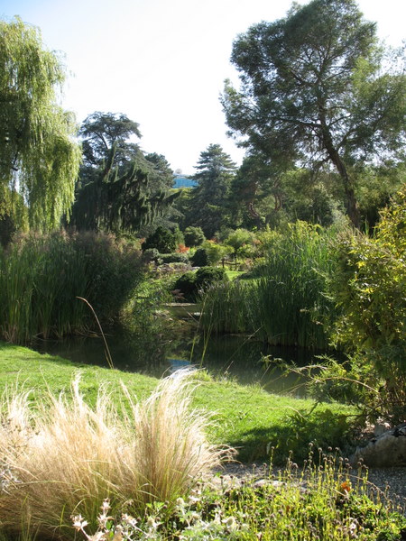 Le jardin botanique de Genève 090901022451782984364211