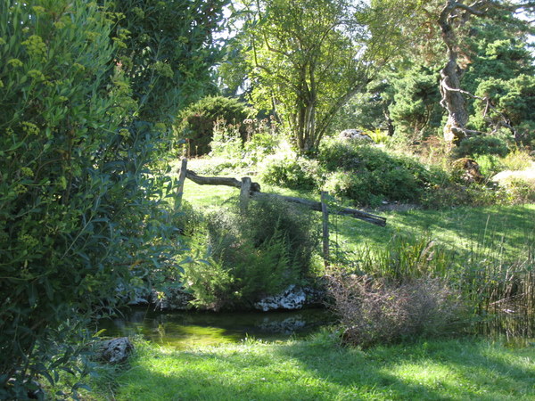 Le jardin botanique de Genève 090901022540782984364220