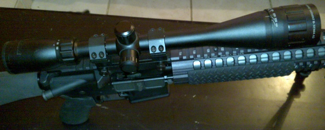 AR-15 custom 090903071219398684379601