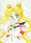 Sailor Moon 090907033303702124403280