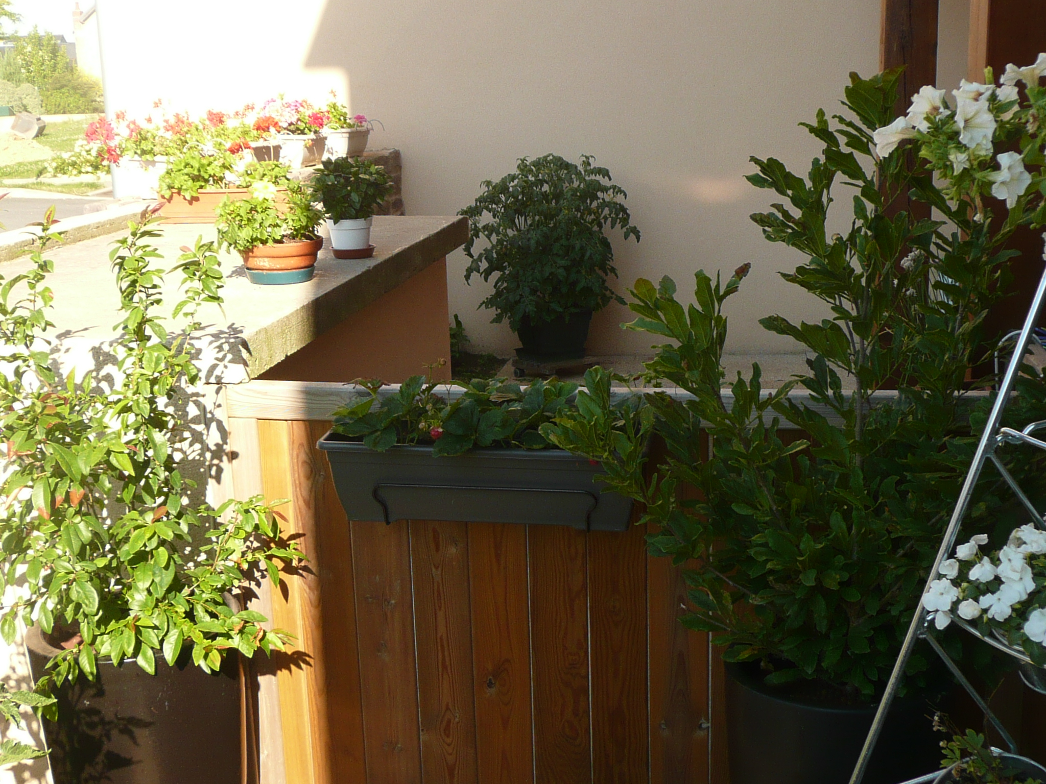 Parthenay 32 _ terrasse 