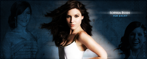 Sophia Bush