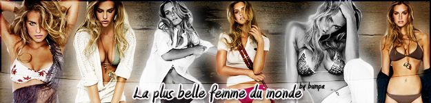 bar petit format