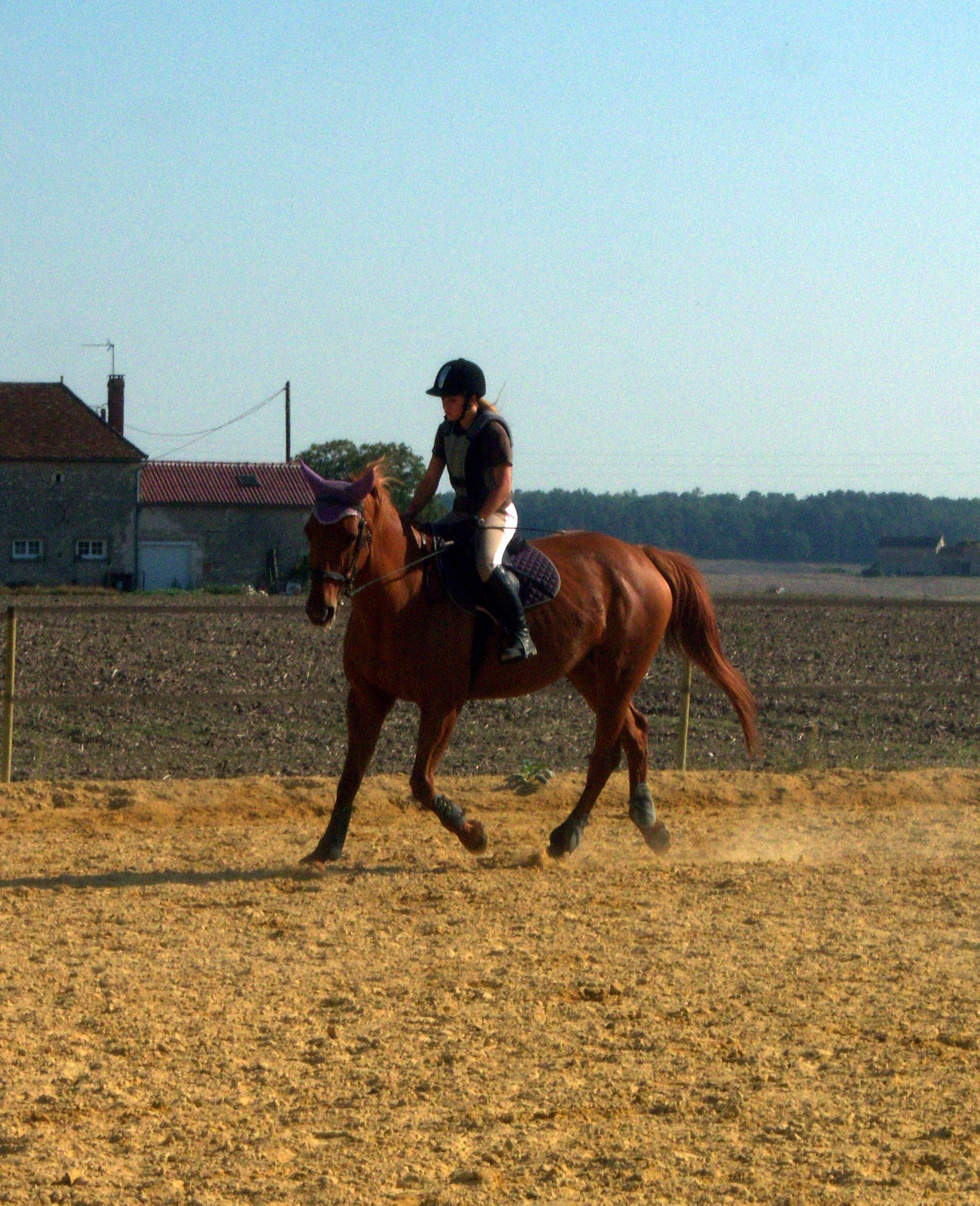 Mercredi 23 Septembre 2009, Moisson du pr&egrave;s (o1) 011