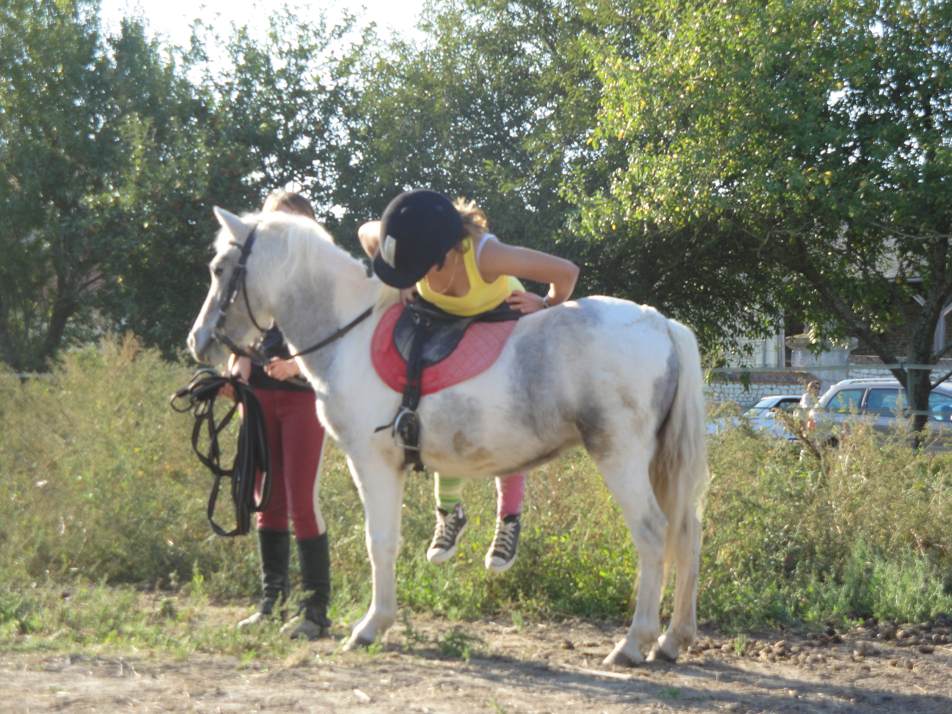 DSC00047