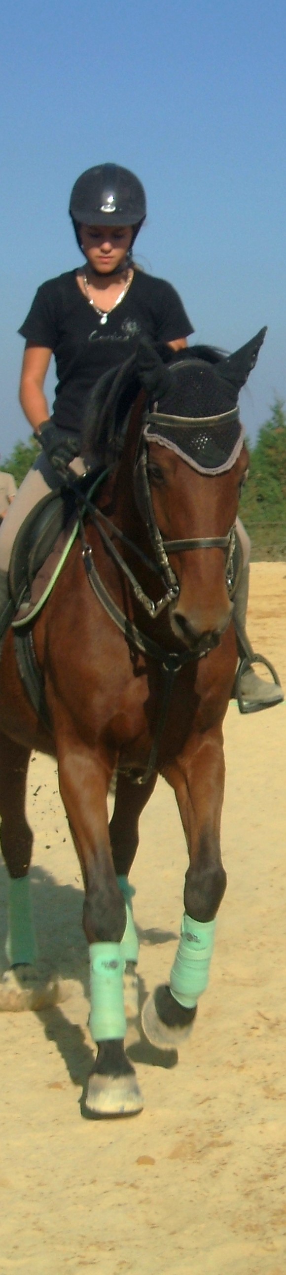 DSCF8135