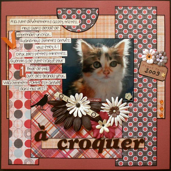 Image hébergée par Casimages.com : votre hébergeur d images simple et gratuit