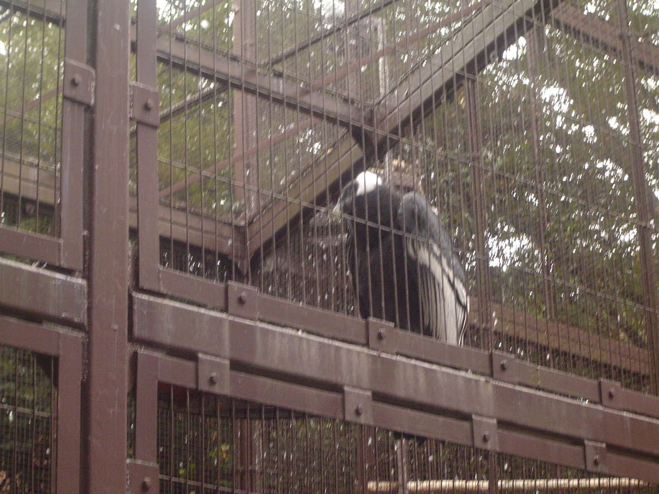 Ueno_zoo