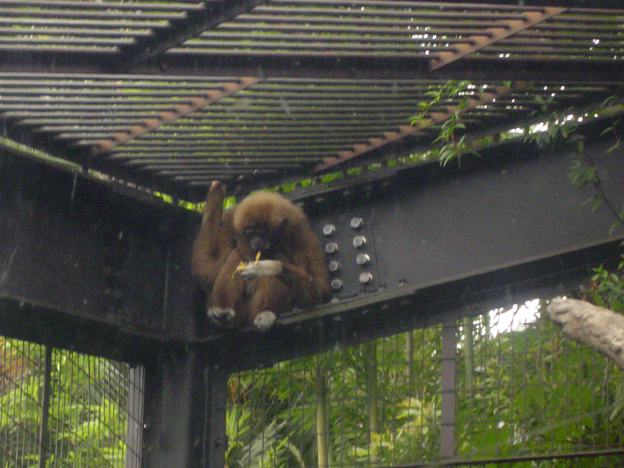 Ueno_zoo