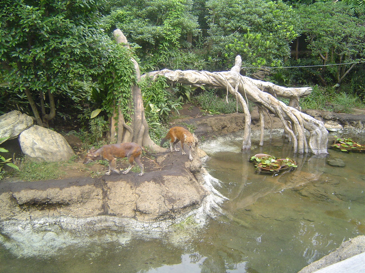 DSC00284