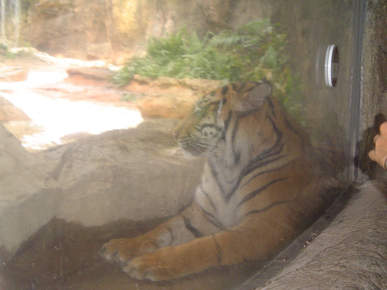 Ueno_zoo