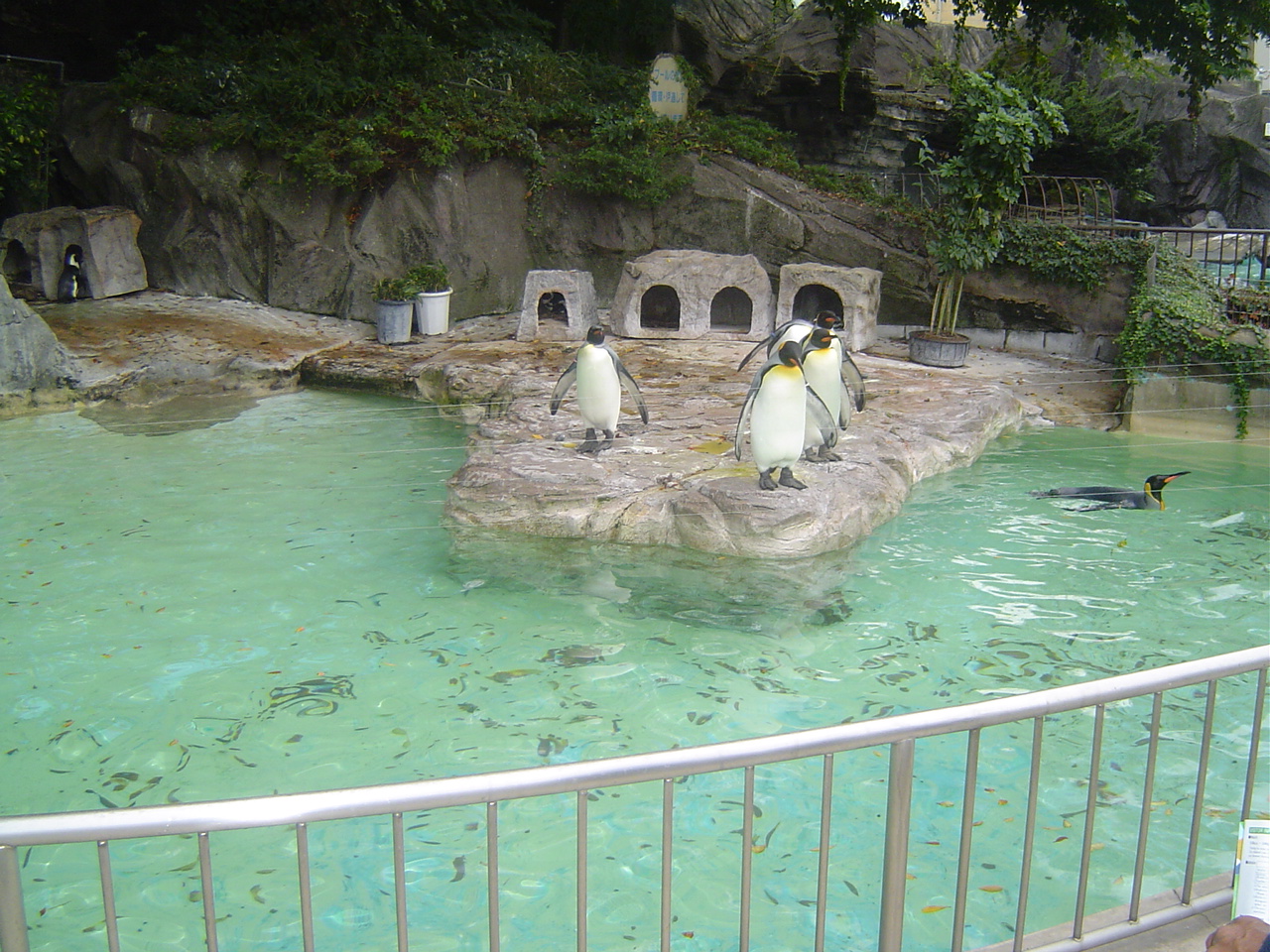 Ueno_zoo