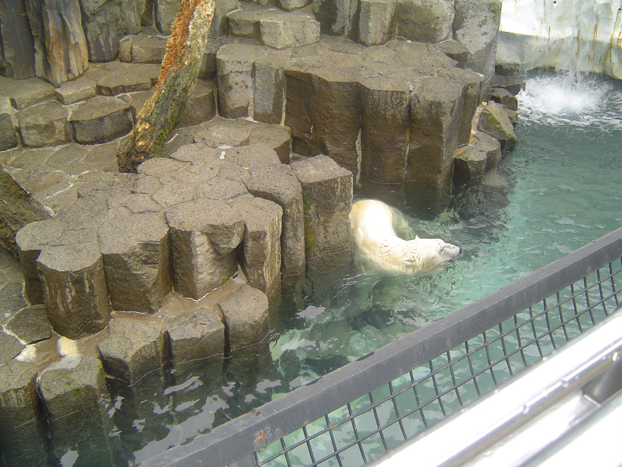 Ueno_zoo