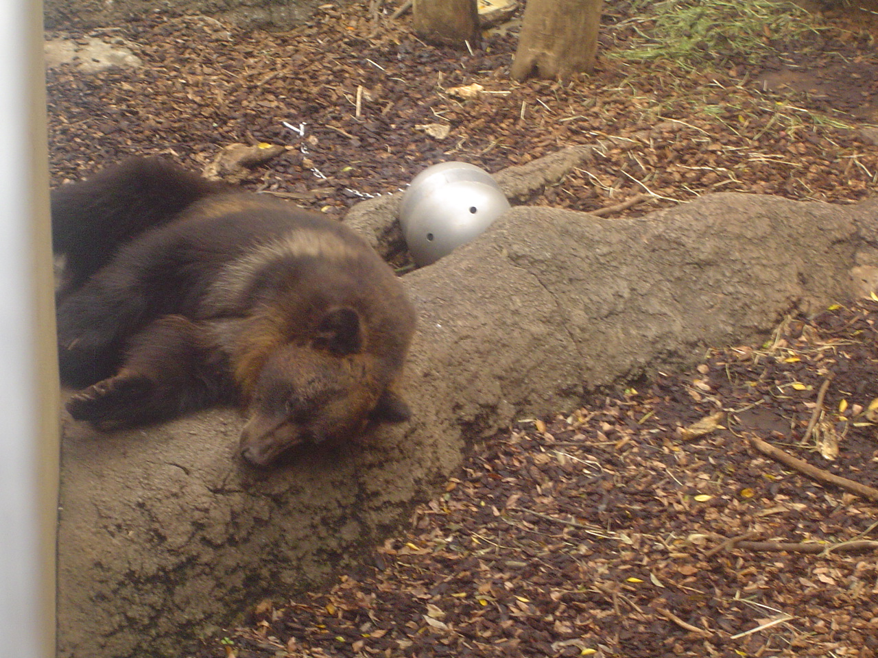 Ueno_zoo