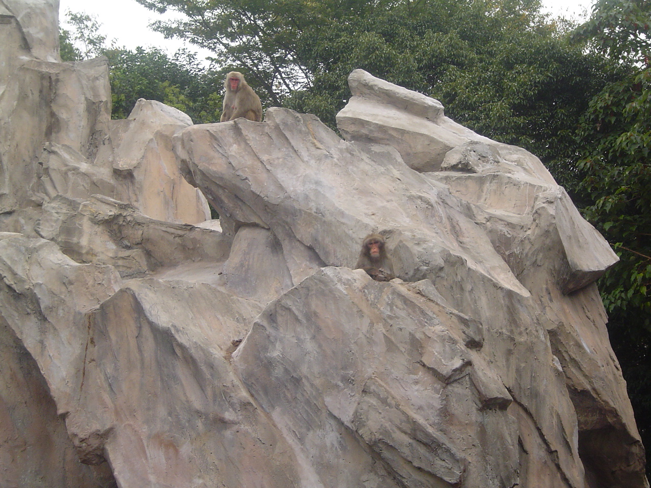 Ueno_zoo