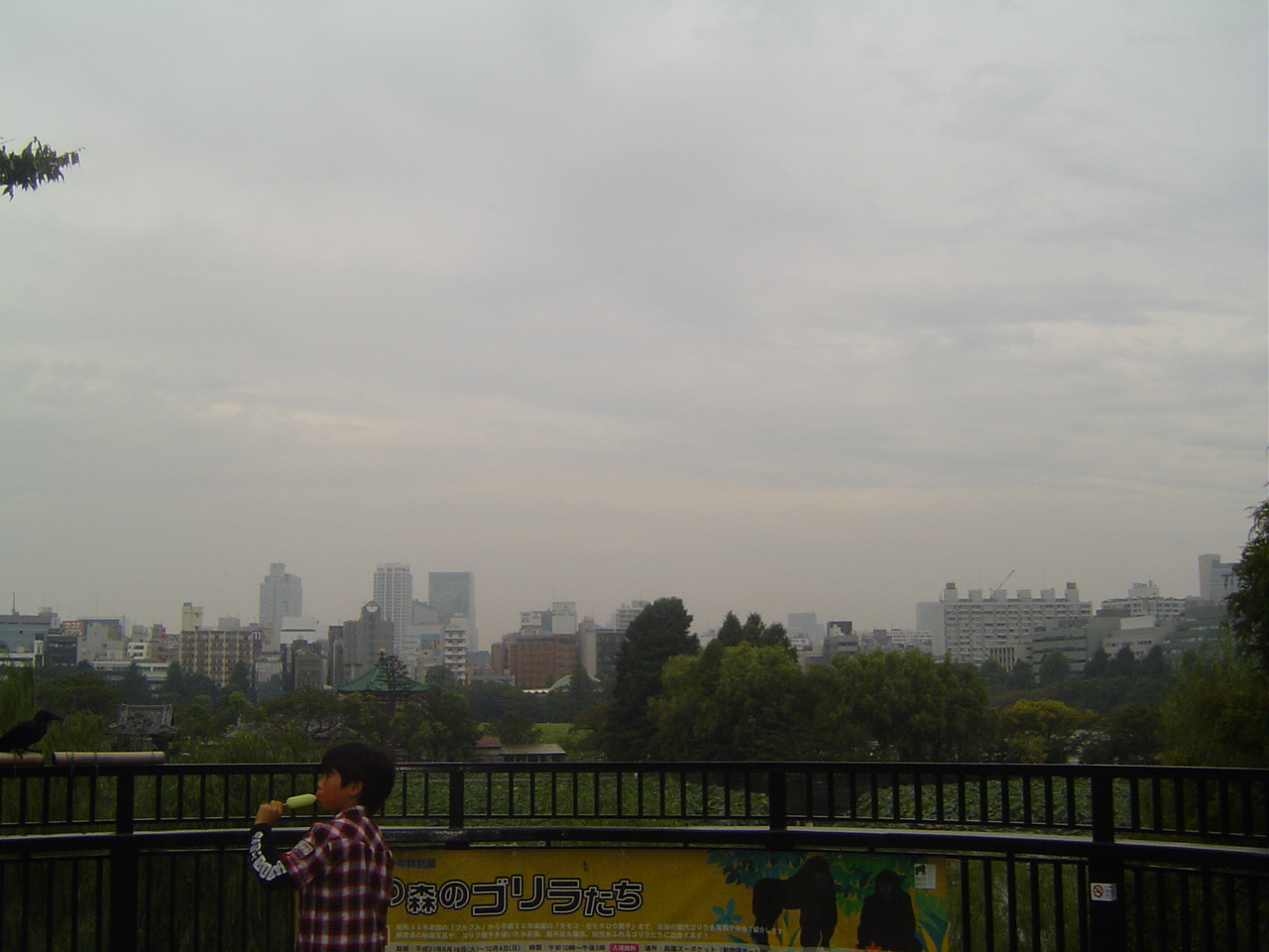 Baie_de_Tokyo