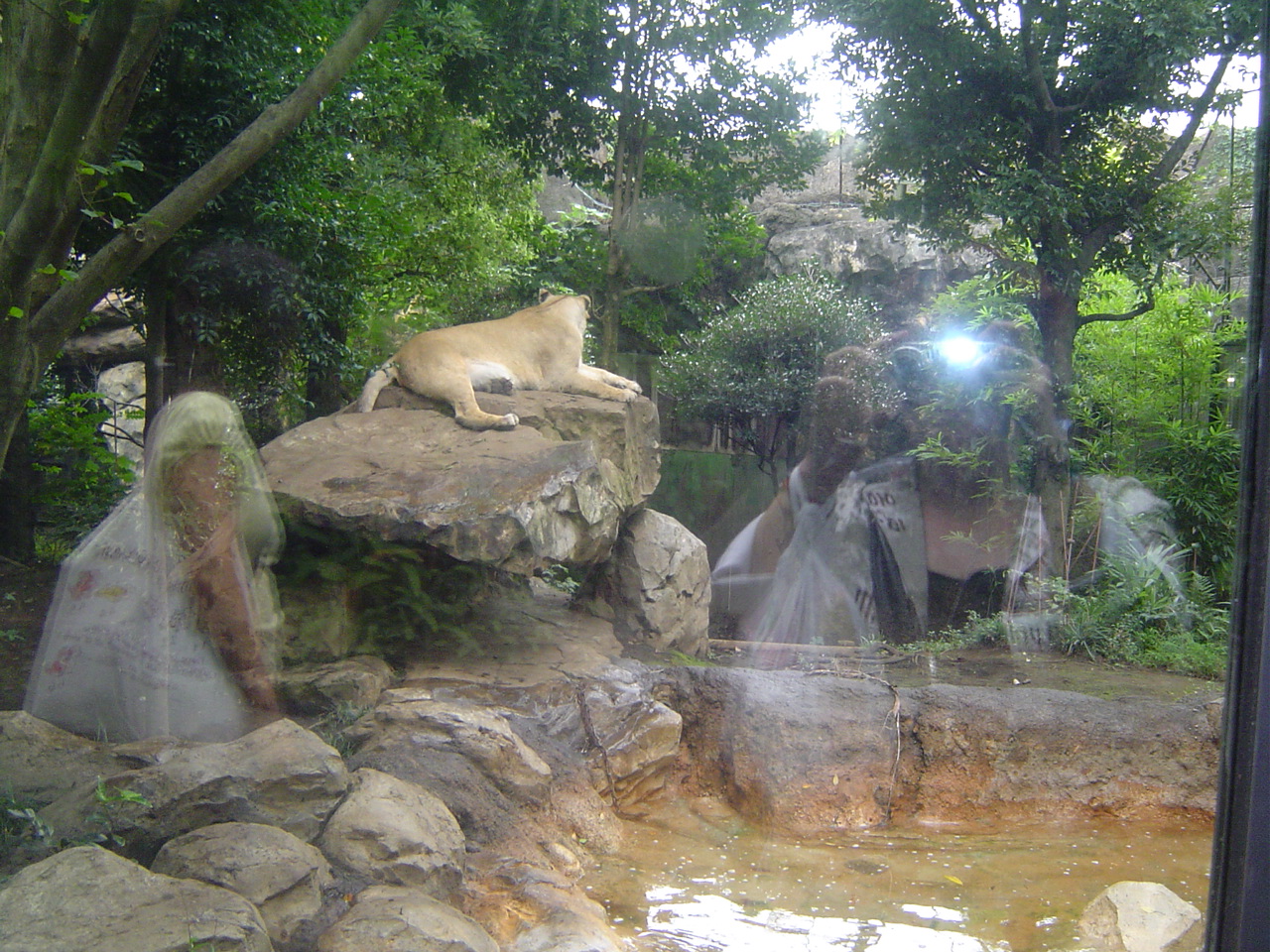 Ueno_zoo