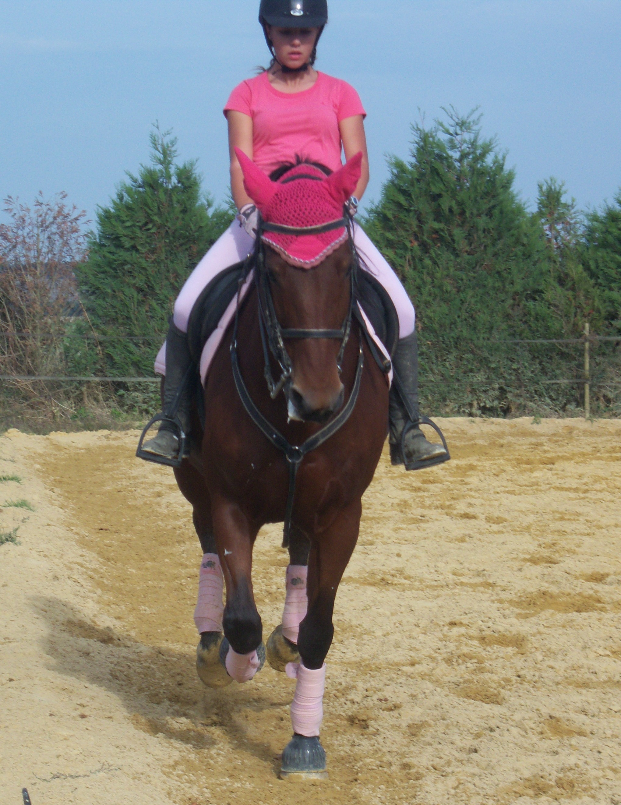 Mercredi 7 Octobre 2009, Joconde en dressage (o1) 016