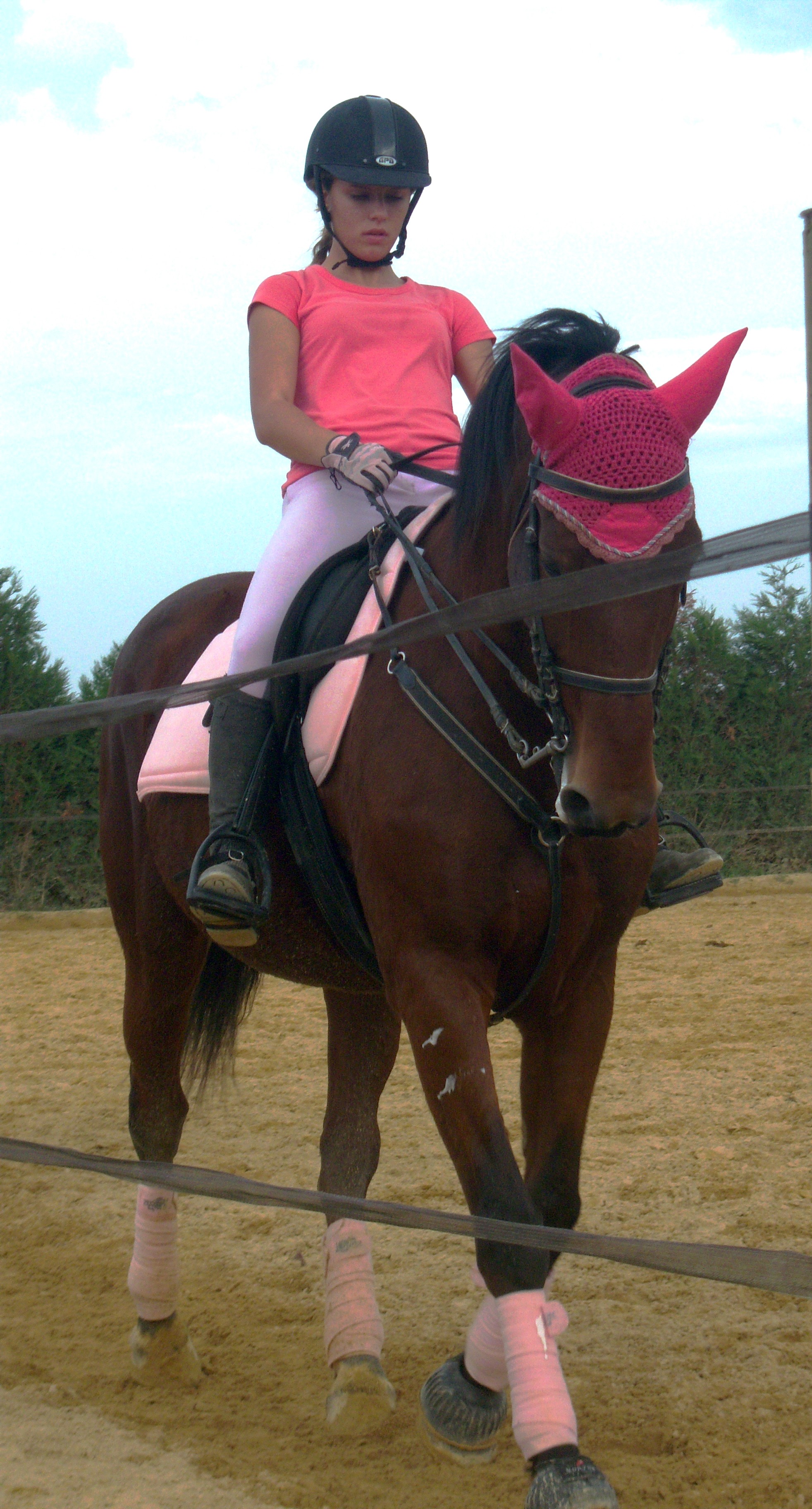 Mercredi 7 Octobre 2009, Joconde en dressage (o1) 035
