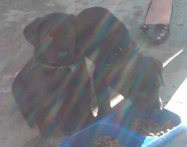 IMG00010-20091010-1649