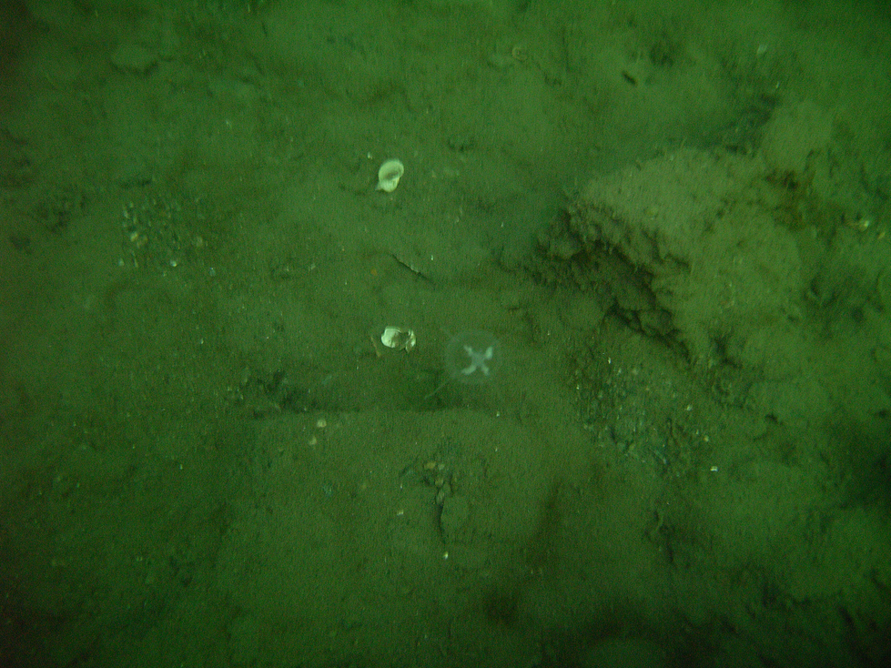 Site d'Eguzon sous l'eau. 091011091530857524619624