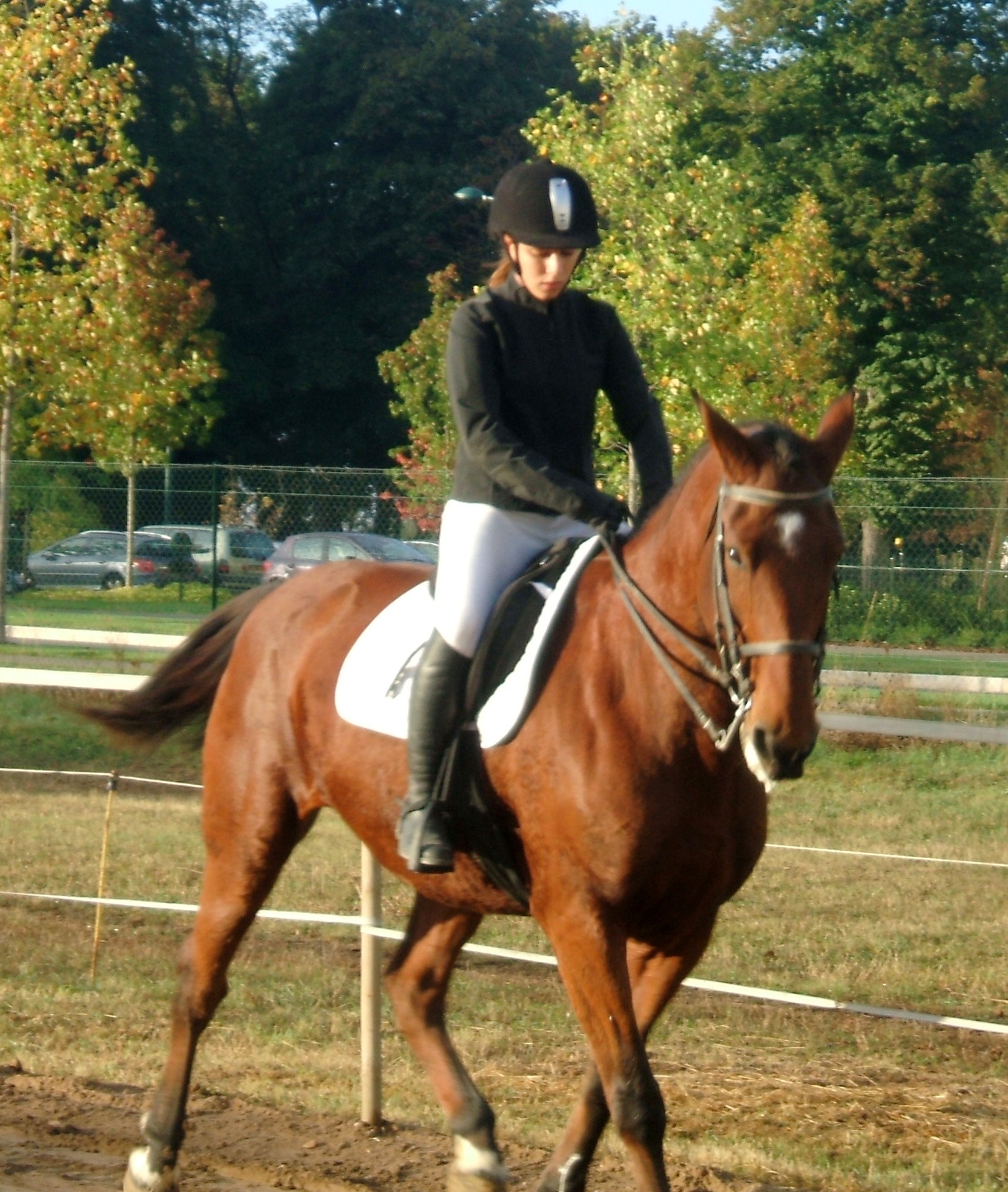 DSCF8296