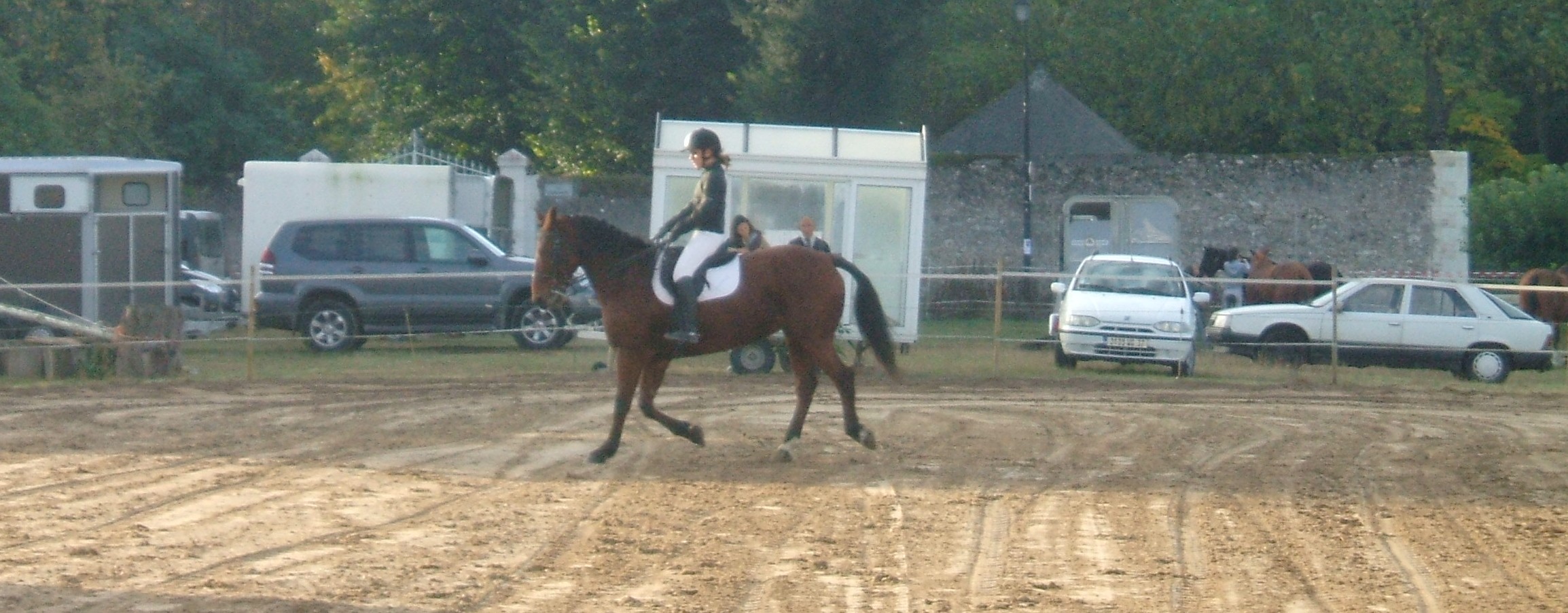 DSCF8299