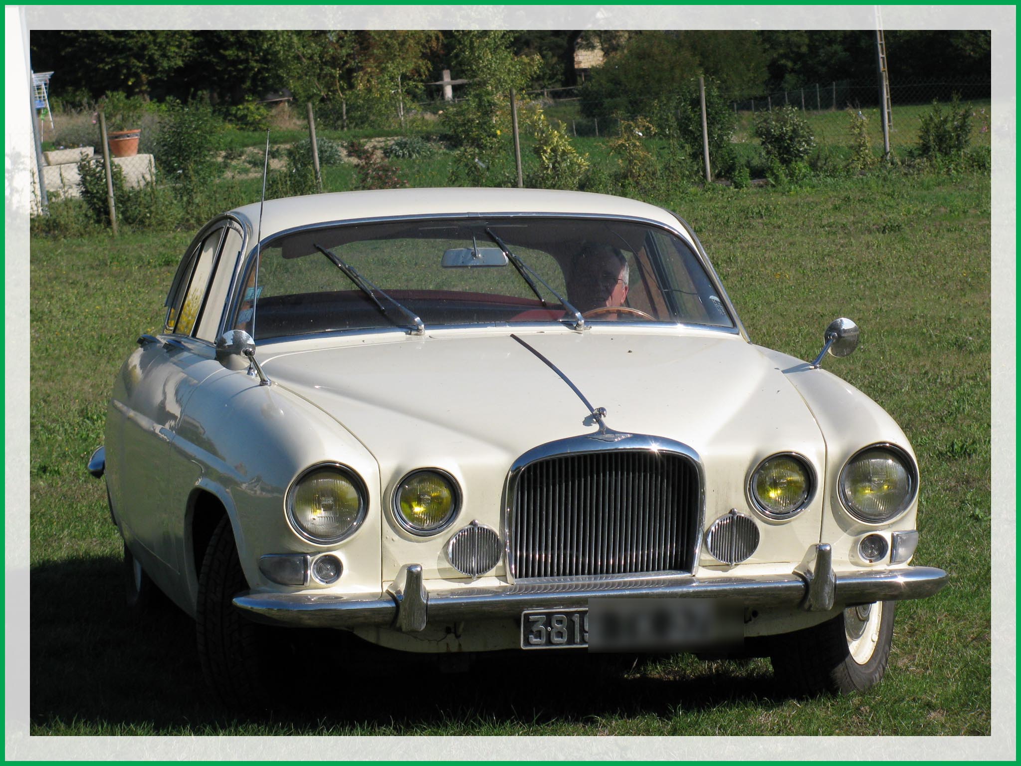 Jaguar