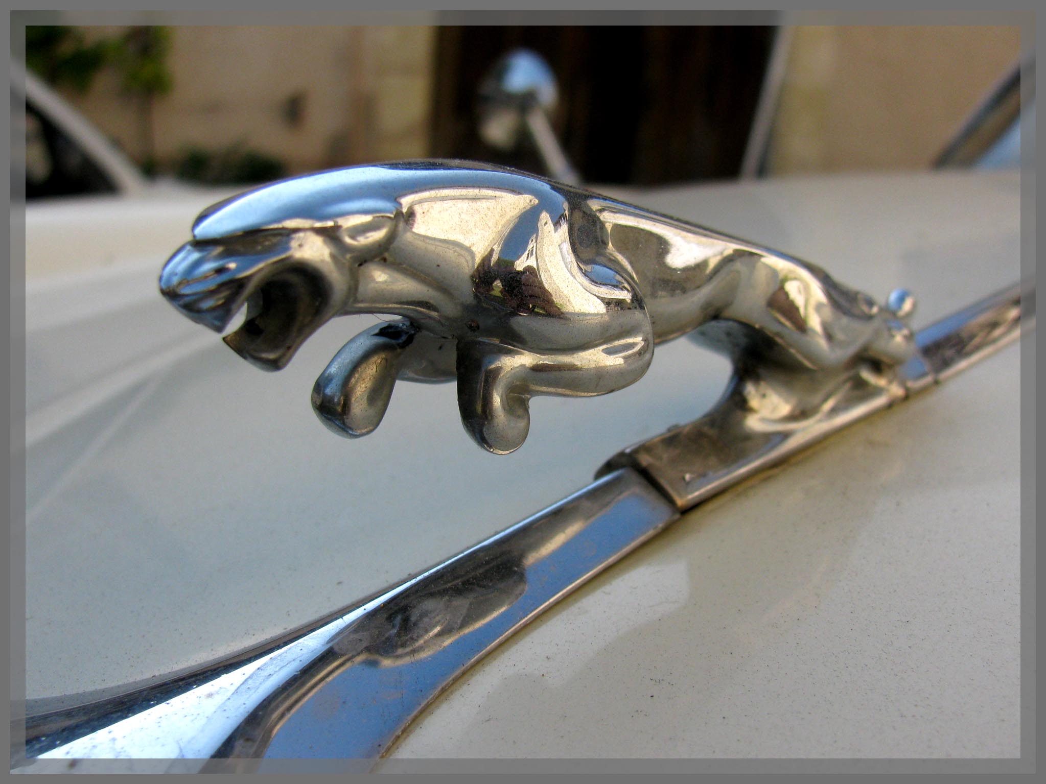 Jaguar 